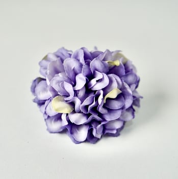 Decorative colorful small one purple hydrangea flowers display object isolated on square white background. photo