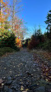Hiking trail in a mountain autumn forest in Poland. photo