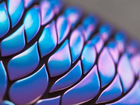 A close up of a purple and blue dragon skin photo