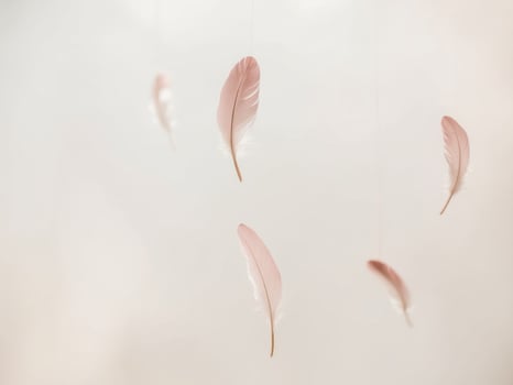 Pink feather mobile on white background photo