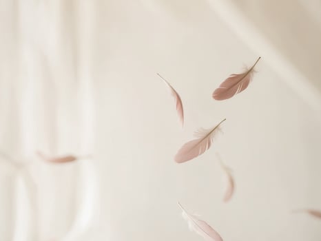 A white sheet with pink feathers flying in the air photo