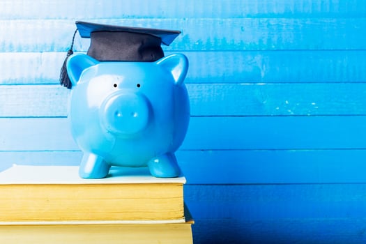 College graduate student diploma piggy bank photo