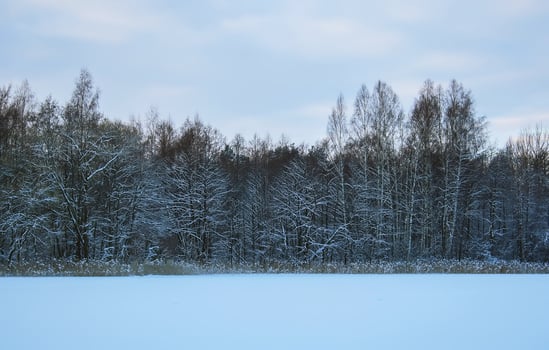 Winter landscape in the countryside. Latvia, East Europe. photo