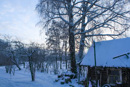 Winter landscape with old shed in a countryside. photo