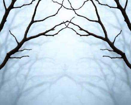 Bare tree branches reaching towards the sky photo