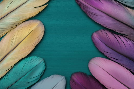 Colorful feather frame on teal background photo