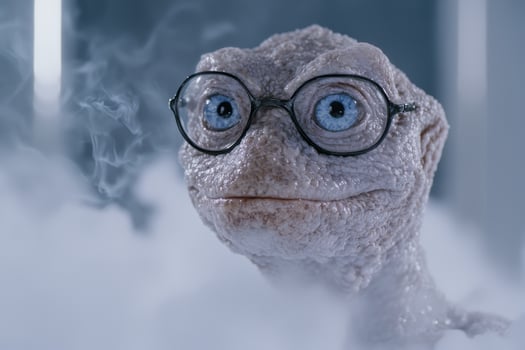 Funny frog with glasses and smoke photo