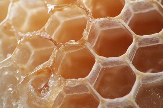 Closeup of a honeycomb structure filled with golden honey photo