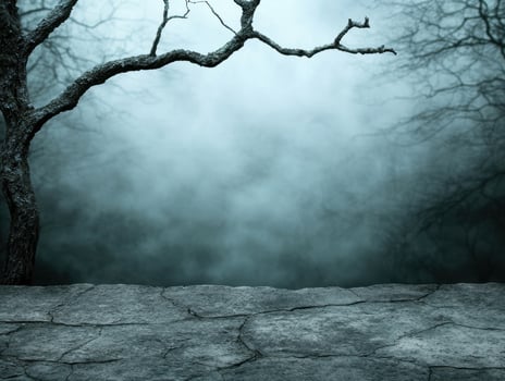 Eerie winter landscape with bare tree branches photo