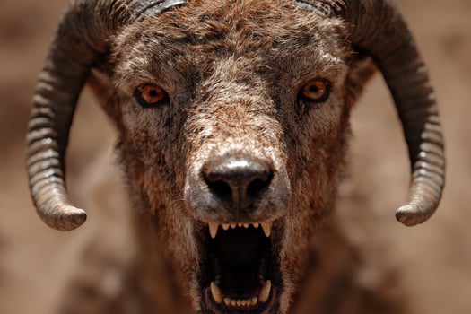 Closeup of a ferocious brown bear with sharp teeth and intense eyes photo