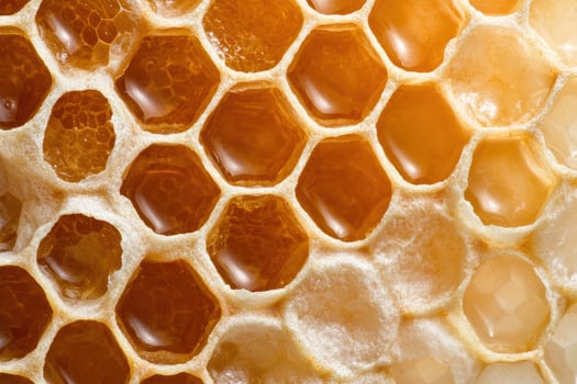 Closeup of honeycomb structure photo