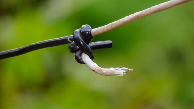 A wire with a black and white cable attached to it photo