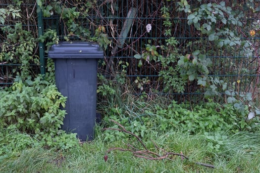 Garbage bin standing next to a metal fence and overgrown with plants photo