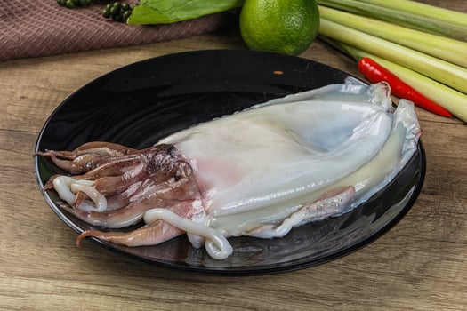 Raw fresh cuttlefish for cooking photo
