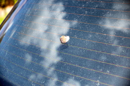 Bird droppings on car glass, damage from droppings to a car. Copy space for text photo