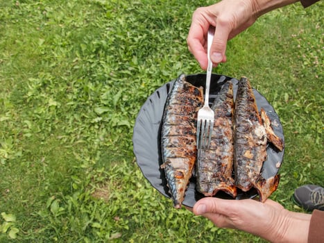 The process of cooking mackerel fish in a marinade on the grill. Fried fish is ready. photo
