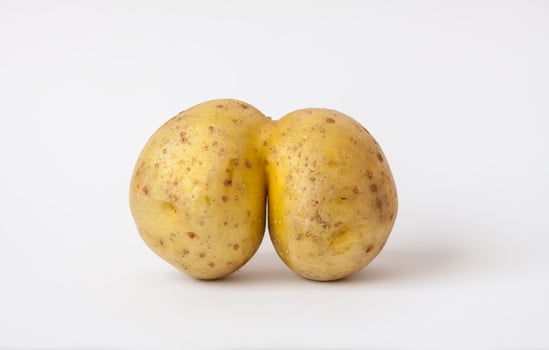 Funny raw potato on white background. photo