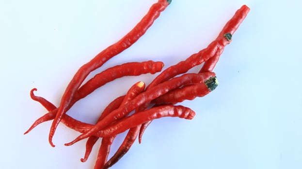 Freshly picked hot red chilies on a white background taken from above photo