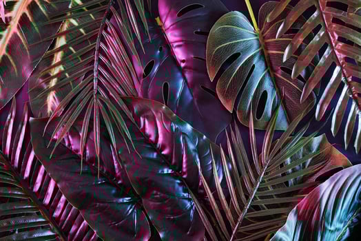 Modern dramatic moody jungle in neon illuminated retro lighting. Exotic leaves in fluorescent light. photo