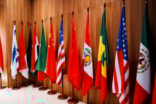 Row of flags displayed on a wooden wall for a vibrant visual arts event photo