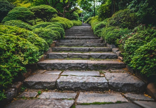 Lush green garden path with stone steps photo