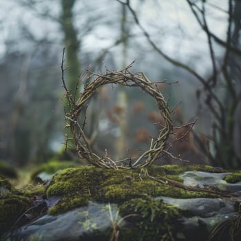 Enchanted forest scene with moss covered branches photo