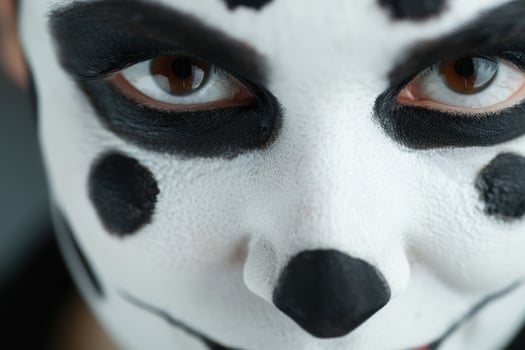 close up of a panda bear face photo