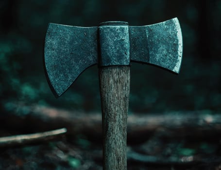 Vintage axe in the forest photo