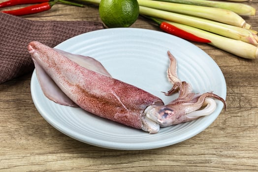 Raw fresh squid for cooking photo