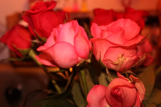 Bouquet Of Red And Pink Roses In A Vase. photo