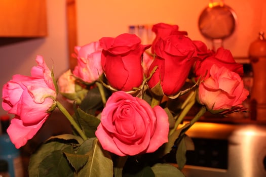 Bouquet Of Red And Pink Roses In A Vase. photo