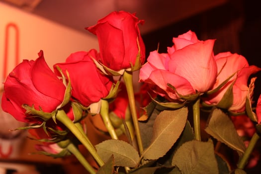 Bouquet Of Red And Pink Roses In A Vase. photo