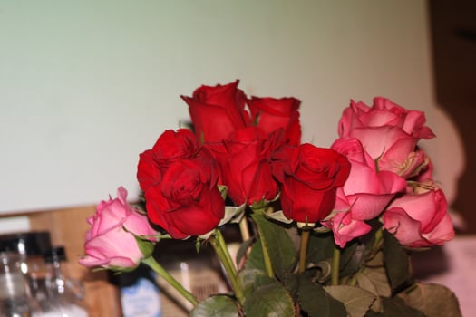 Bouquet Of Red And Pink Roses In A Vase. photo