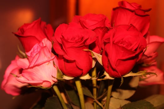 Bouquet Of Red And Pink Roses In A Vase. photo