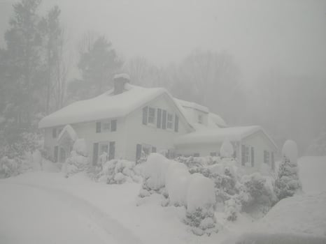 Snowy Cottage View Through Window with Plant and Trees in Cold Atmosphere photo