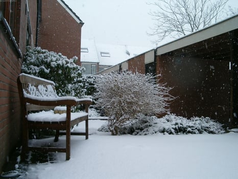 Snow-covered Plant in Daytime Near Water and Building photo