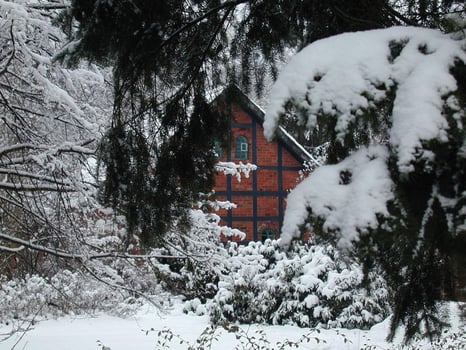 Snowy Plant Branches by a Window in a House on a Sloping Landscape photo