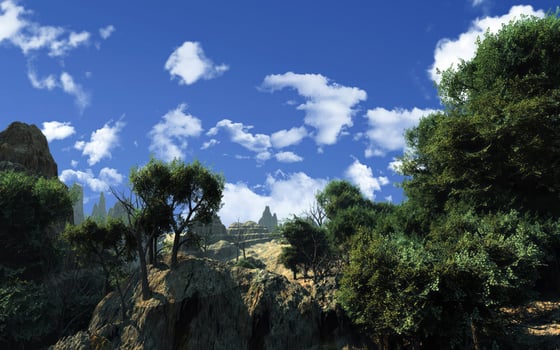 Lush Vegetation Under a Cumulus Sky. A Natural Landscape of Woody Plants and Bedrock photo