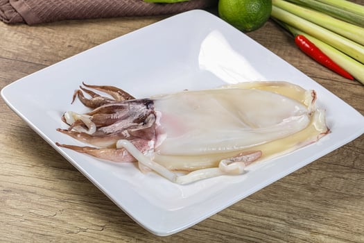 Raw fresh cuttlefish for cooking photo