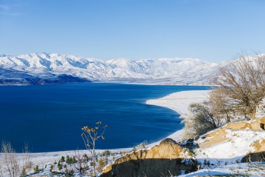 Charvak reservoir in winter in Uzbekistan and a lone tree. Beautiful winter landscape. The Tien Shan mountain system in Central Asia. Card of the country photo