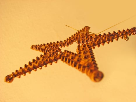 Christmas New Year decoration with glittering star photo