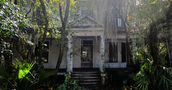 An old abandoned house in the woods photo