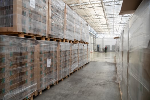 Warehouse for packaging of seedlings, soil mixtures in agriculture production. Plant care equipment photo