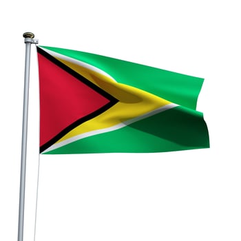 Guyana flag on a pole waving isolated on white background photo