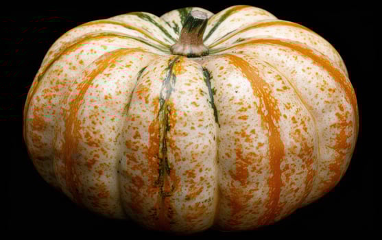 Closeup of an ornate pumpkin photo