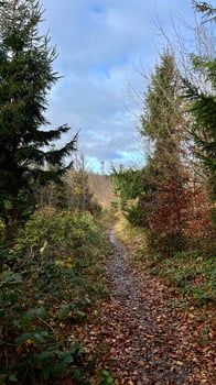 Hiking trail in a mountain autumn forest in Poland. photo