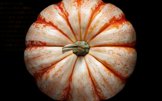 Vibrant orange and white striped pumpkin photo