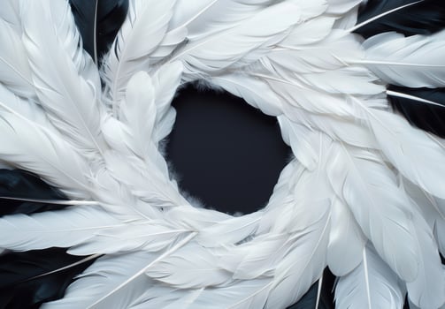abstract feather background photo