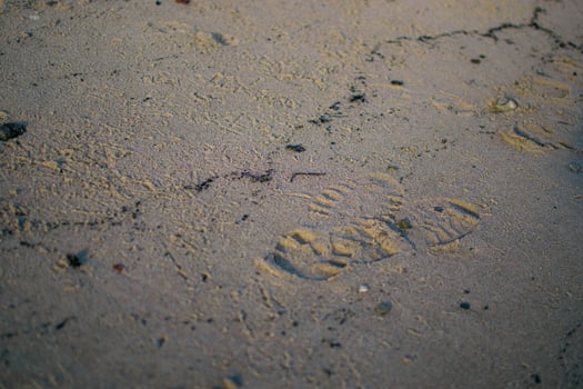 the footprints on the sand near the winter sea photo