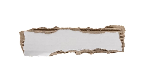 piece of white paper tear isolated on white background photo
